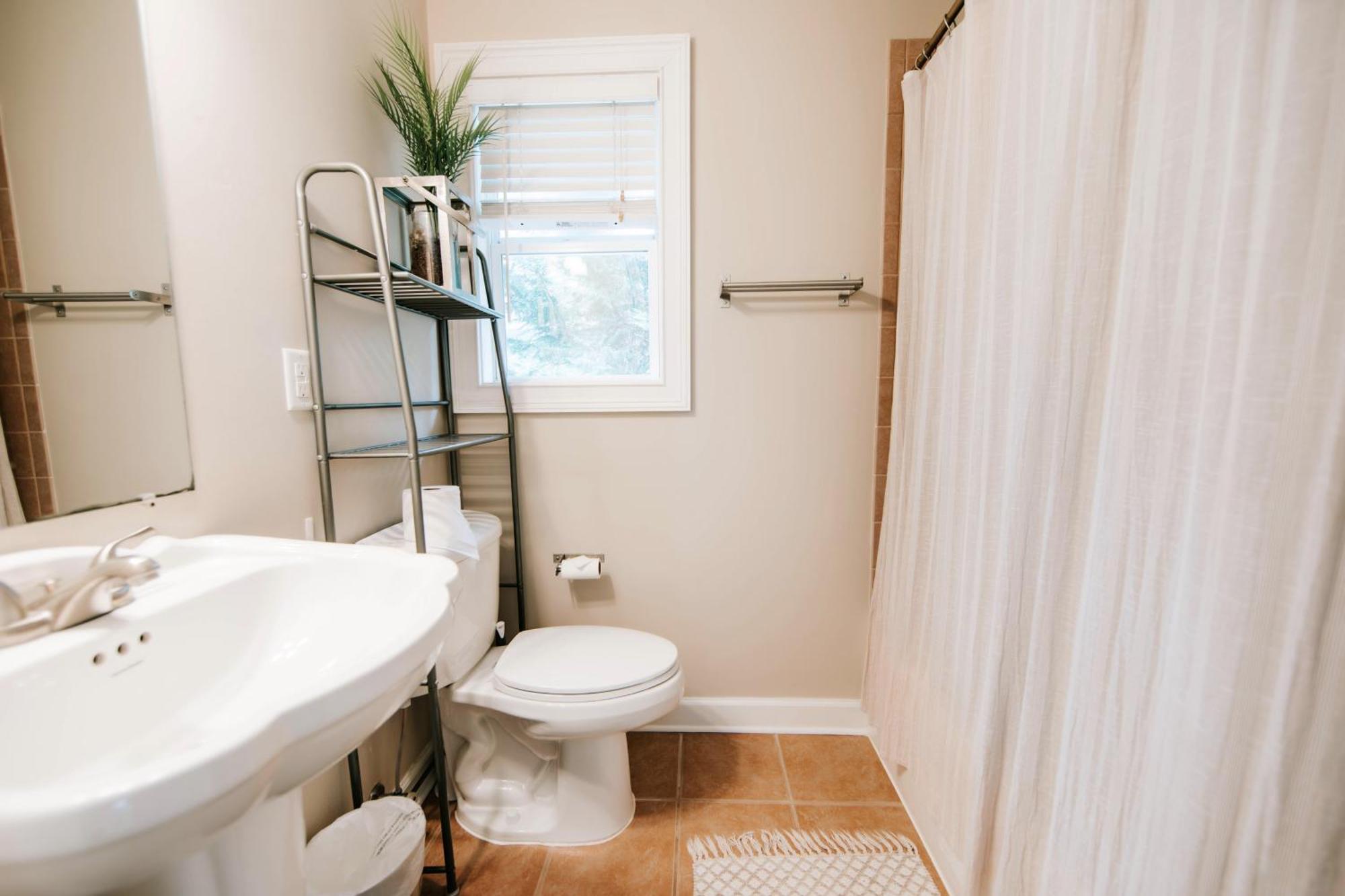 Cozy Cottage - Walk To Campus, Stadium, Downtown Athens Ngoại thất bức ảnh
